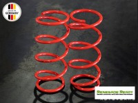 Jeep Renegade Lowering Springs - MADNESS - Sport