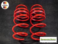 Jeep Renegade Lowering Springs - MADNESS - Sport