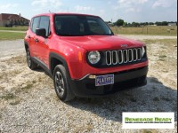 Jeep Renegade License Plate Mount - Platypus