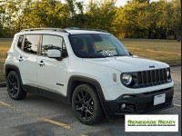 Jeep Renegade Lowering Springs - MADNESS - Sport