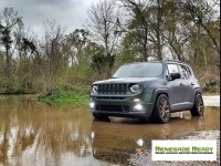 Jeep Renegade Lowering Springs - MADNESS - Sport